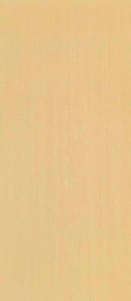 DB304-A04 Technology Ruling 1