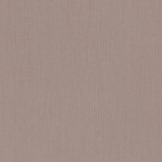 Morandi Champagne Powder 3D Model