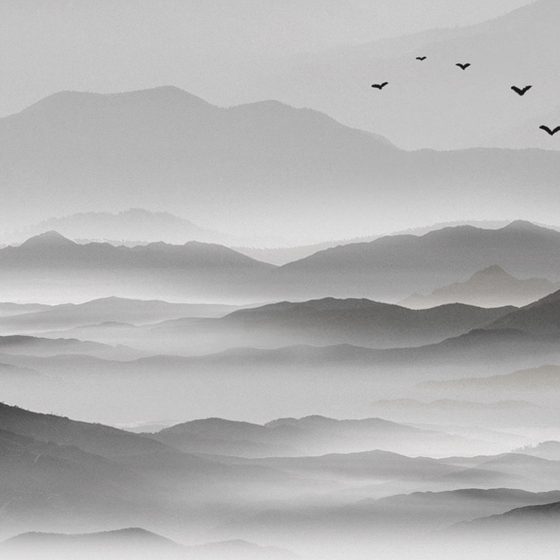 Art Xuan Mural New Chinese Modern Ink Landscape Abstract Ink Landscape Black and White Small Boat Flying Birds (10)