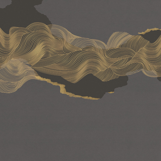 Charming Gray Beetle Inca Embroidery Wallpaper 3D Model