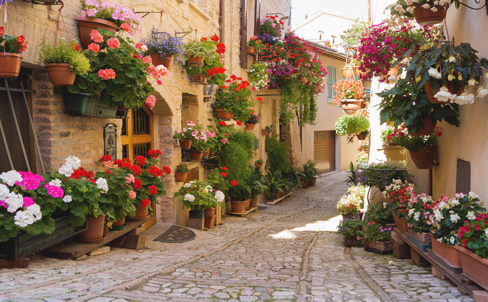 Art Xuan Mural Flower Cluster Flower Wall Small Clear Pastoral Alley Style Background Wall Fabric