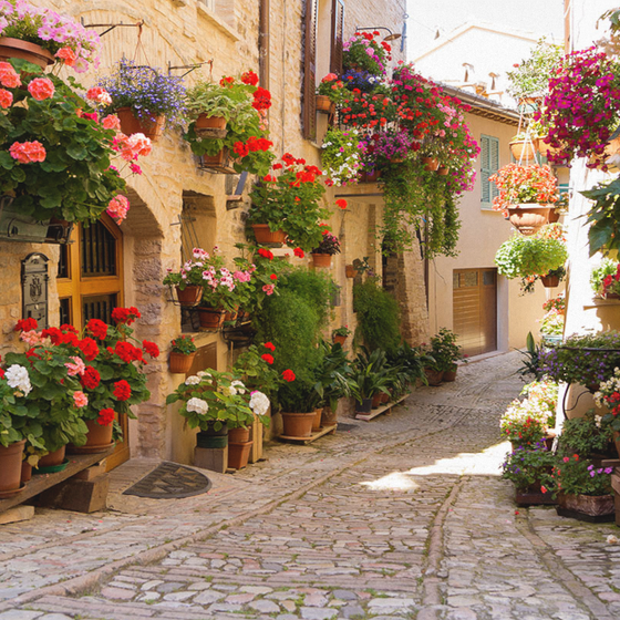 Art Xuan Mural Flower Cluster Flower Wall Small Clear Pastoral Alley Style Background Wall Fabric