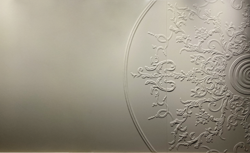 Beetle Relief Craft Hard Package E9116 Background Wall