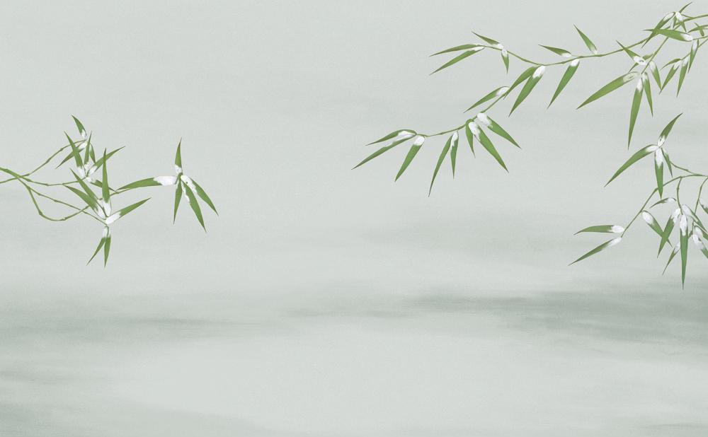 Beetle Mural Bamboo Rhythm G22021K-C Wallpaper Wall Cloth