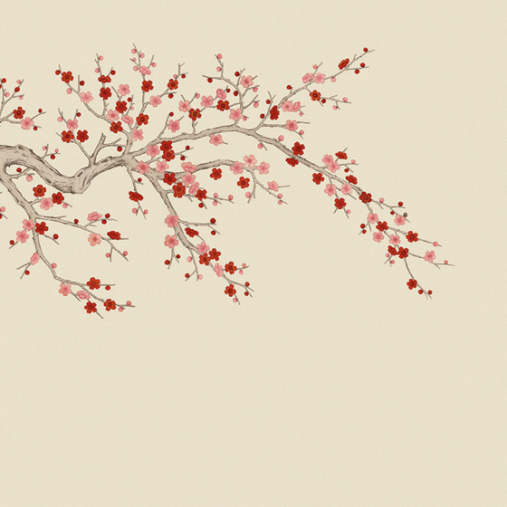 Elegant Chinese Plum Blossom Wallpaper 3D Model