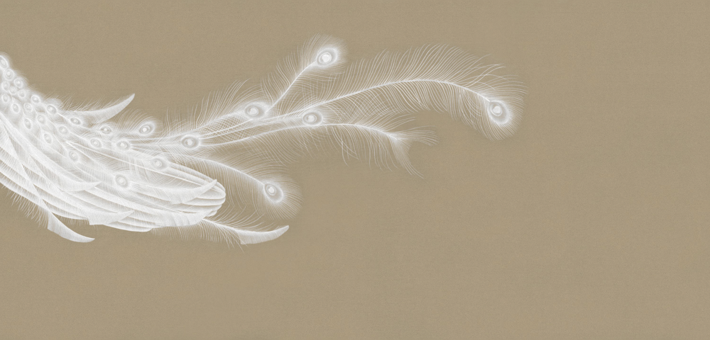 Beatle mural Chinese feather BT0125K-C wallpaper wall covering