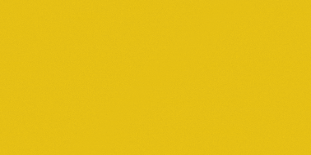 TMG_1319 Latin Yellow