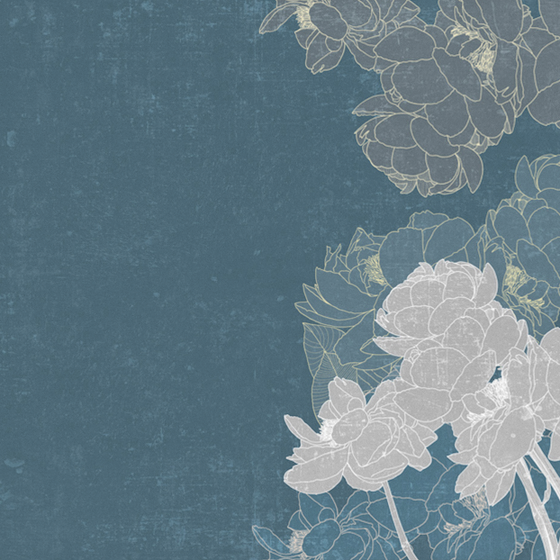 Beetle mural modern texture PX0050K-B wallpaper wall covering