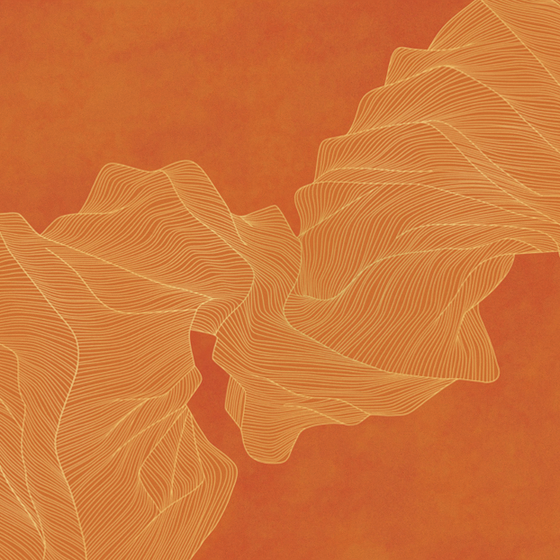 Vibrant Orange Beetle Mural Wallpaper 3D Model