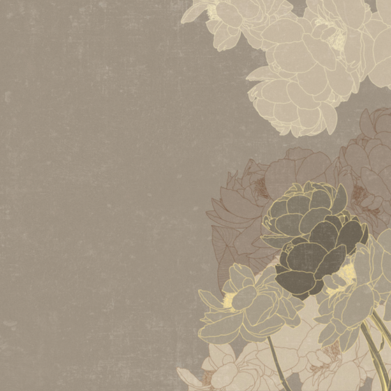 Beetle Mural Wallpaper Covering PX0050K-C in Gray