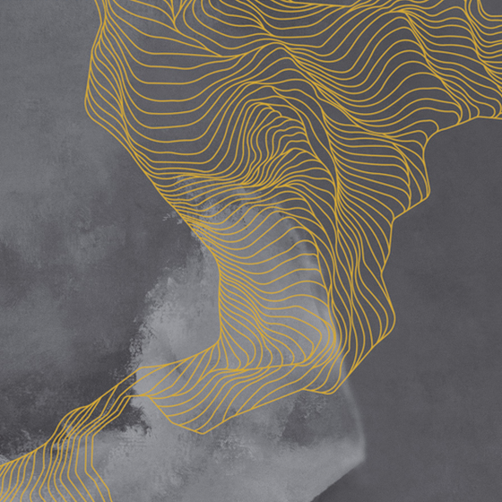 Beetle Mural Wallpaper 3D Model in Gray