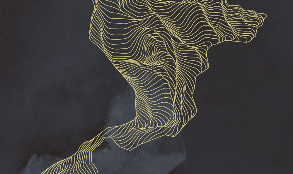 Beetle mural modern texture PZ0011K-B wallpaper wall covering