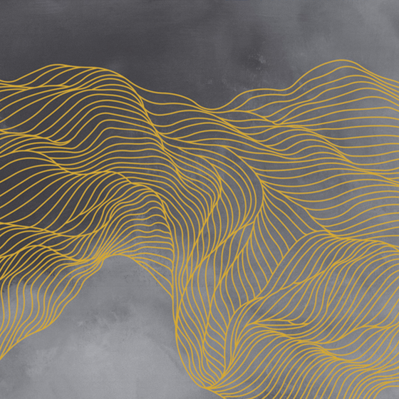 Gray Beetle Mural Wallpaper 3D Model for Unique Spaces