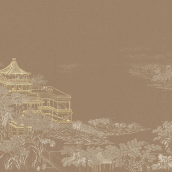 Beetle mural Chinese texture PZ0016K-D wallpaper wall covering