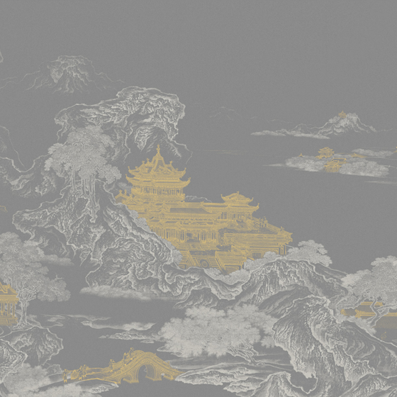 Beetle mural Chinese texture PZ0031K-D wallpaper wall covering