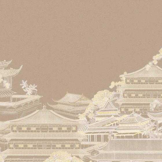 Beetle mural Chinese texture PZ0027K-B wallpaper wall covering