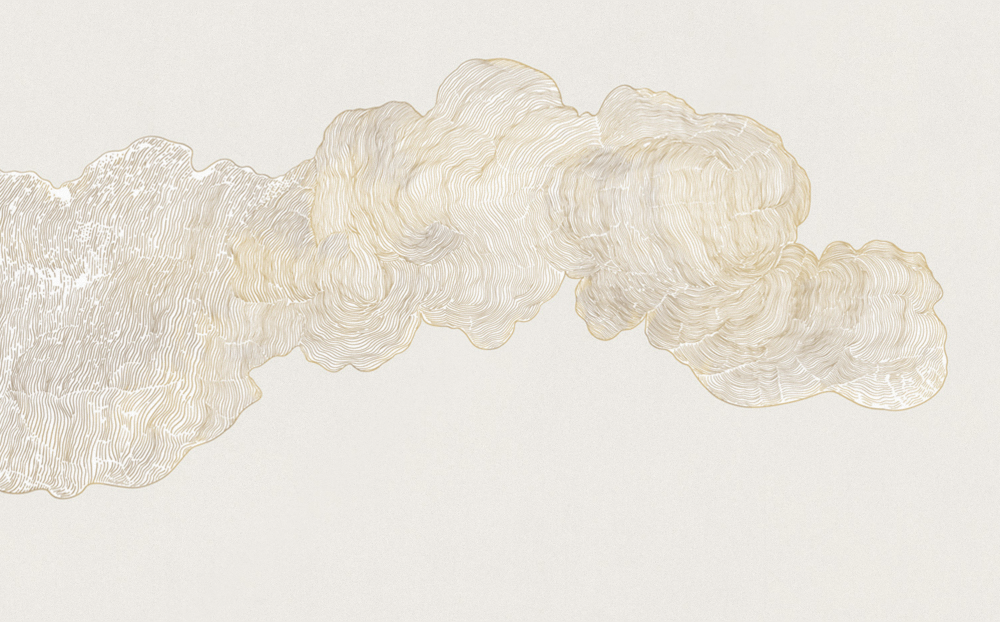 Beetle mural Chinese texture PZ0024K-C wallpaper wall covering