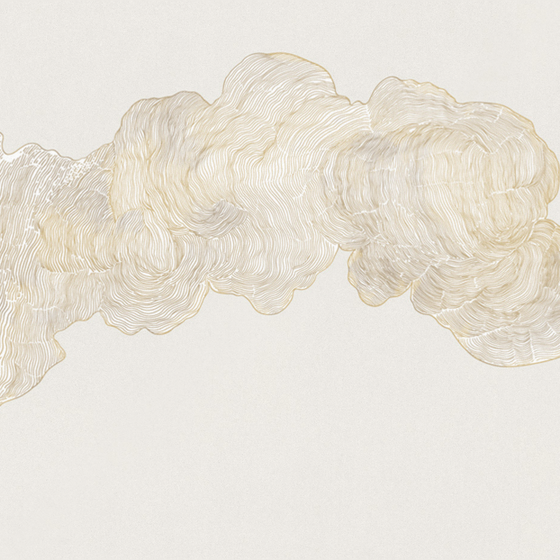 Gray Beetle Mural Wallpaper 3D Model for Unique Spaces