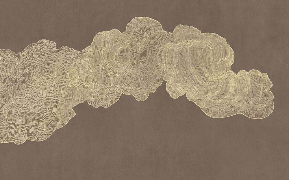 Beetle mural Chinese texture PZ0024K-B wallpaper wall covering