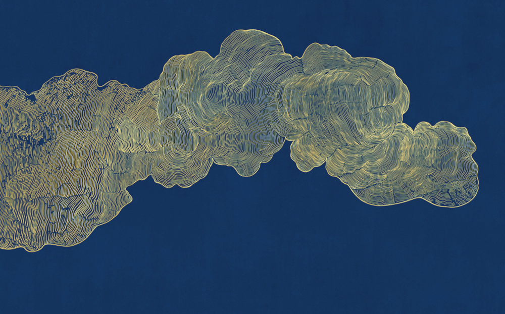 Beetle mural Chinese texture PZ0024K-D wallpaper wall covering