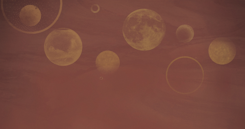 Beetle mural modern texture DPX0029K-G wallpaper wall covering