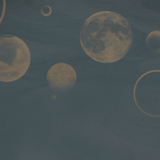 Gray Beetle Mural Modern Texture Wallpaper 3D Model