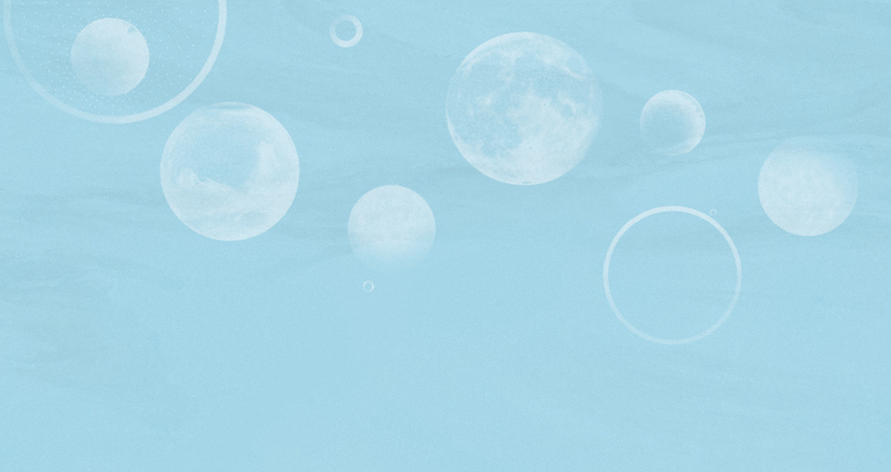 Beetle mural modern texture DPX0029K-C wallpaper wall covering