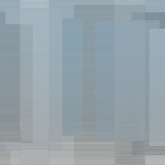 Gray Beetle Mural Wallpaper for Modern Spaces