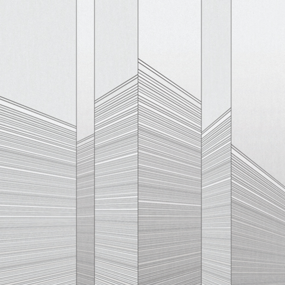 Beetle mural modern texture DPX0028K-A wallpaper wall covering