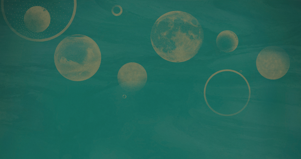 Beetle mural modern texture DPX0029K-D wallpaper wall covering