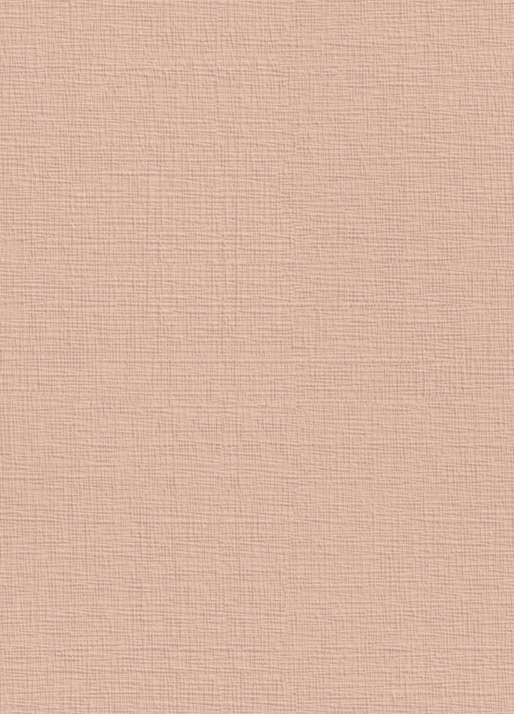 Texture Fabric Pattern BW-123 Grapefruit Pink