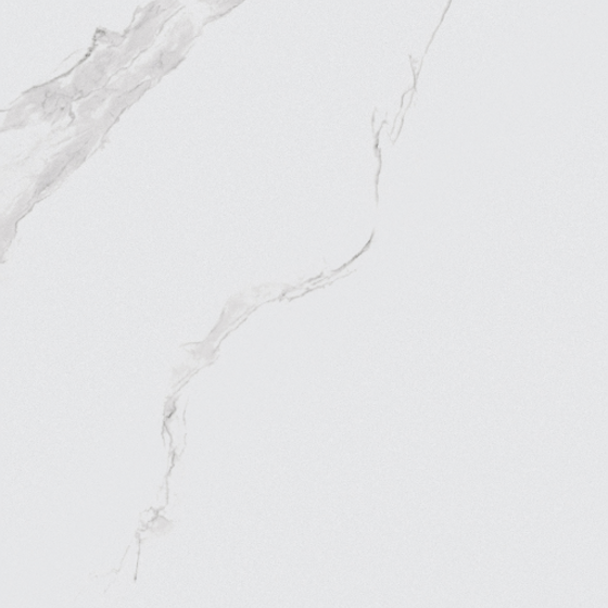 Gentleman White-T10G154370 (2)