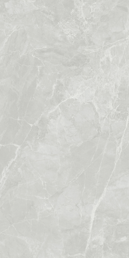 Hermes Gray FG277095 (600X1200)-9