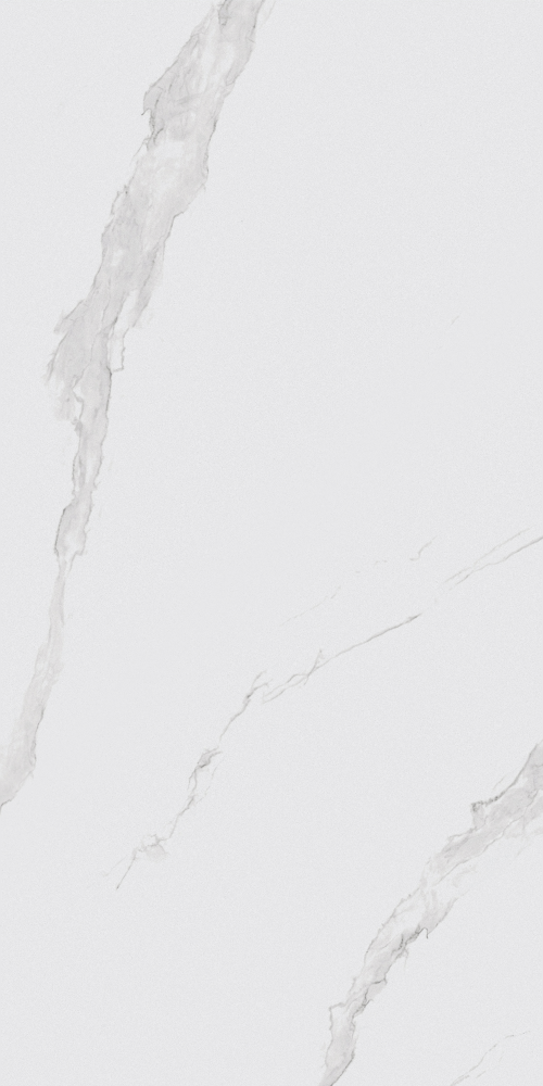 Gentleman White-T10G154370 (1)