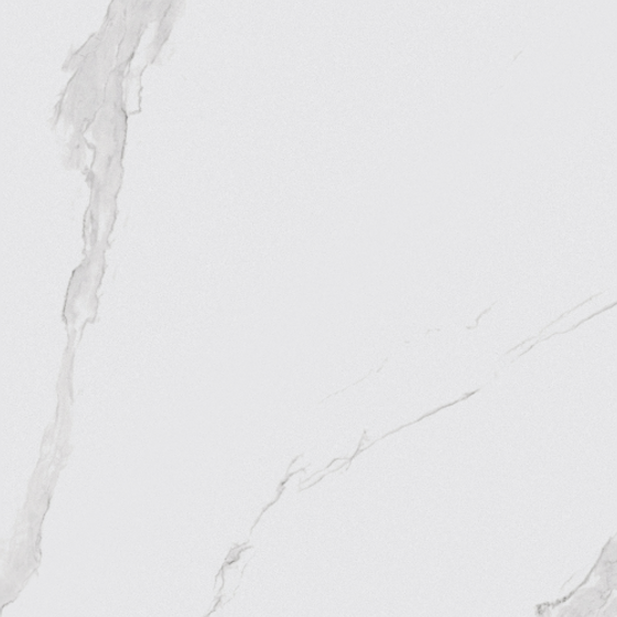 Gentleman White-T10G154370 (1)