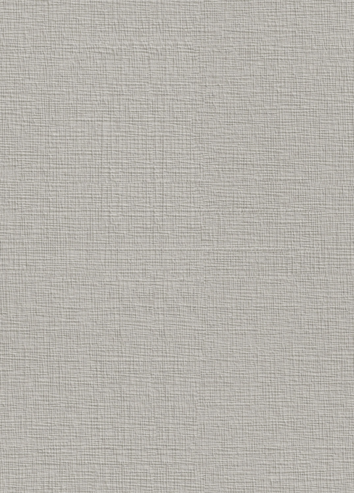 Textured Fabric Pattern BW-113 Washed Linen