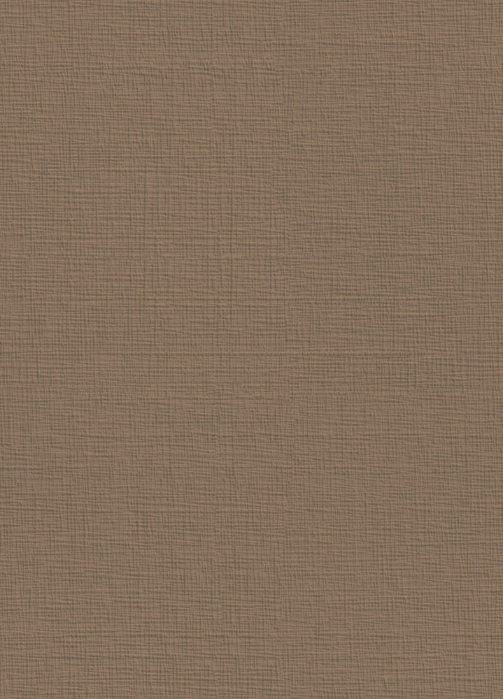 Textured Fabric Pattern_BW-125 Cinnamon Color