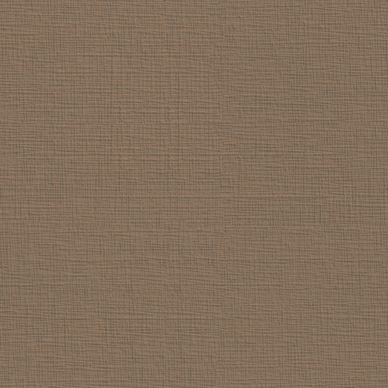 Textured Fabric Pattern_BW-125 Cinnamon Color