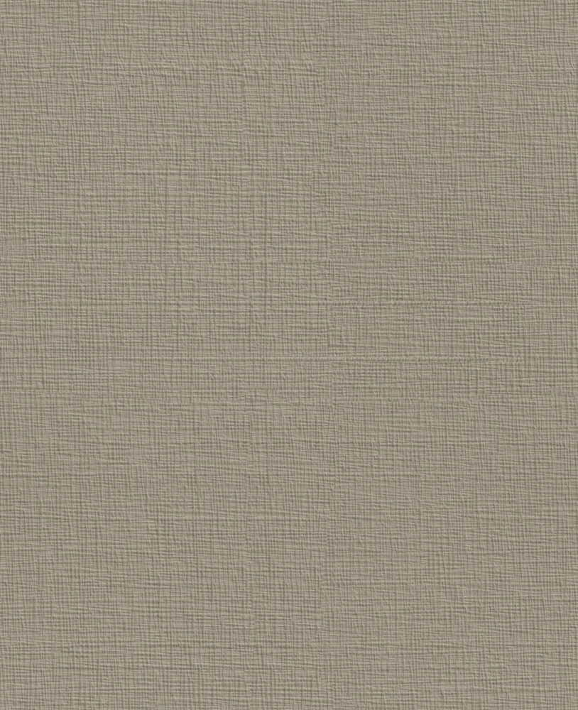 Texture Fabric Pattern_BW-116 Papyrus