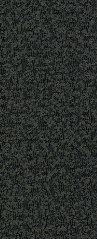 Black Diatomite