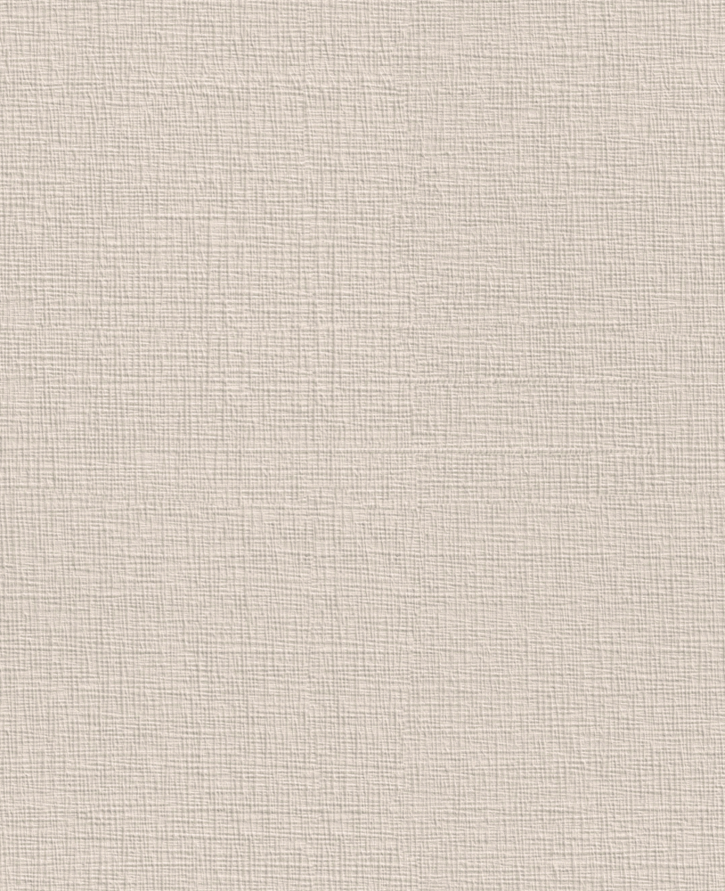 Texture Fabric_BW-141 Light Camel Plush