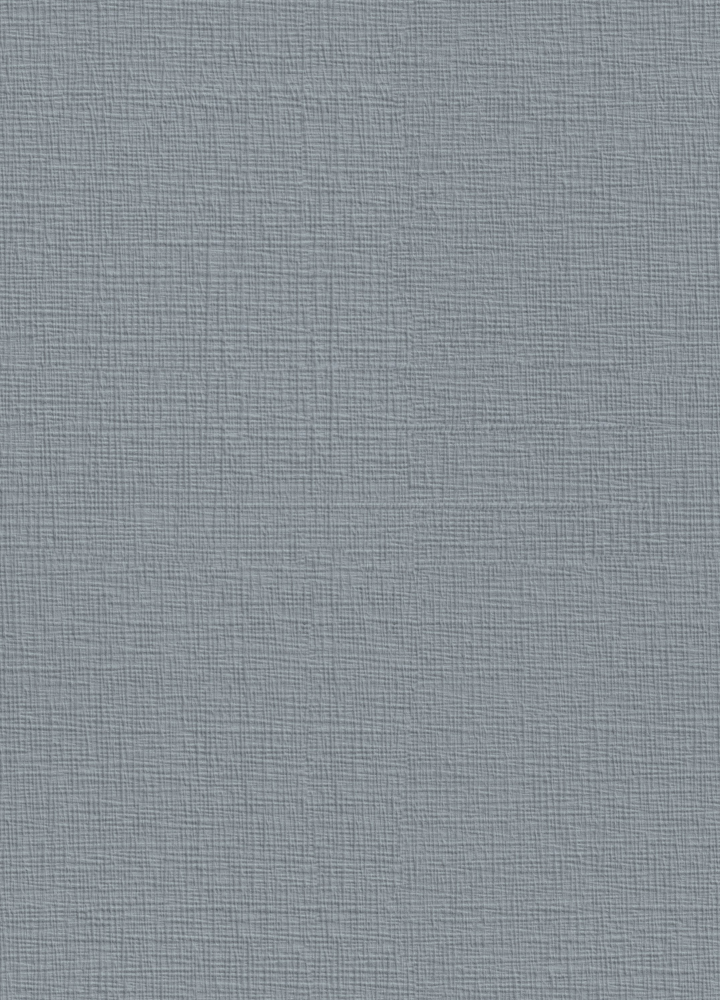 Fabric Texture_BW-126 Washed Denim