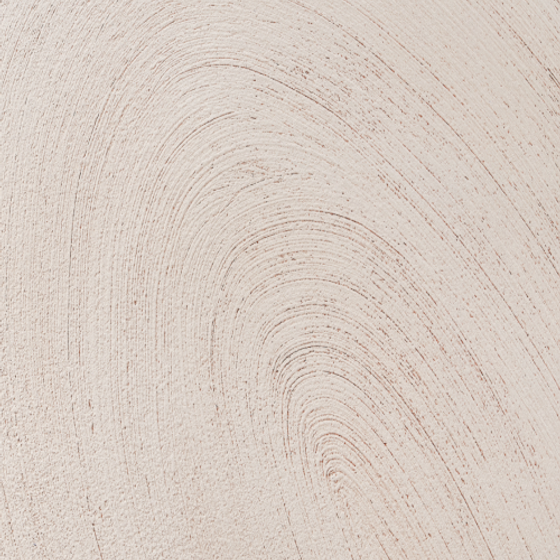 Carpoly National Geographic Rings of Saturn 3D Model in Earth Color