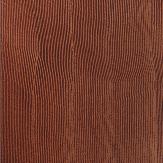 Carpoly National Geographic Wall Paint 3D Model in Brown