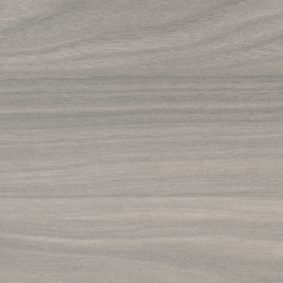 Stylish Gray CG-SC-SG032 Butternut 3D Model