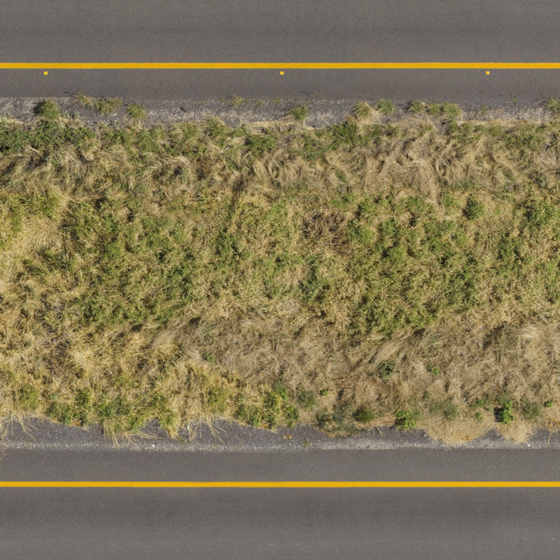 Stylish Orange Grassland 3D Model