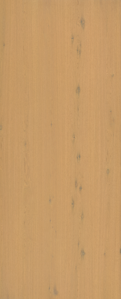 C024 ホワイトオークスカブイエロー