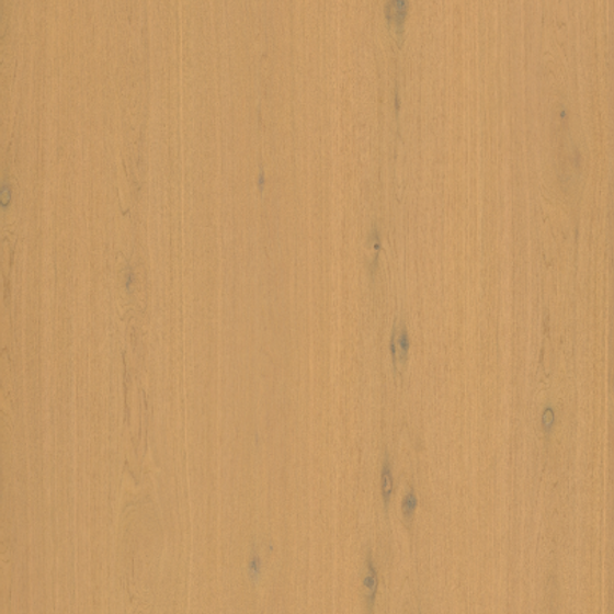 White Oak Scab Yellow in Wood Color