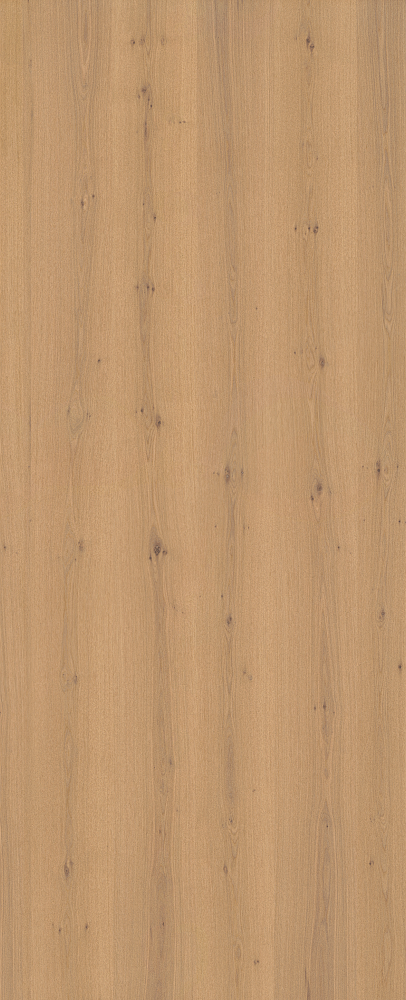 C017  White oak Scab Yellow