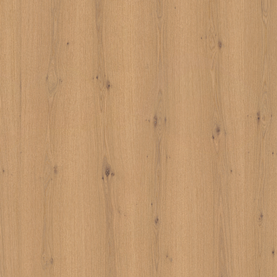 C017 White Oak Scab Yellow Wood Panel
